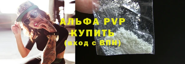 стафф Россошь