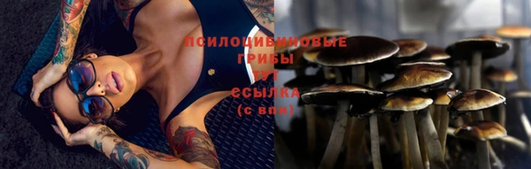 ALPHA PVP Ростов