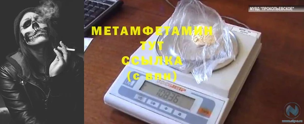 стафф Россошь