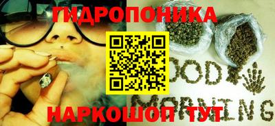 ECSTASY Шелехов