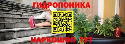 наркотики Шебекино