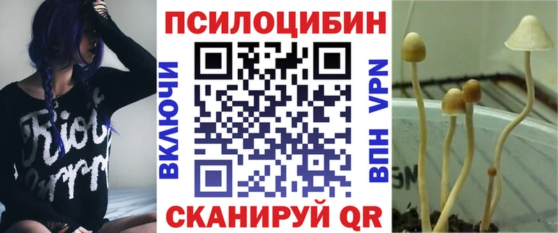 Псилоцибиновые грибы Psilocybe  Новотроицк 