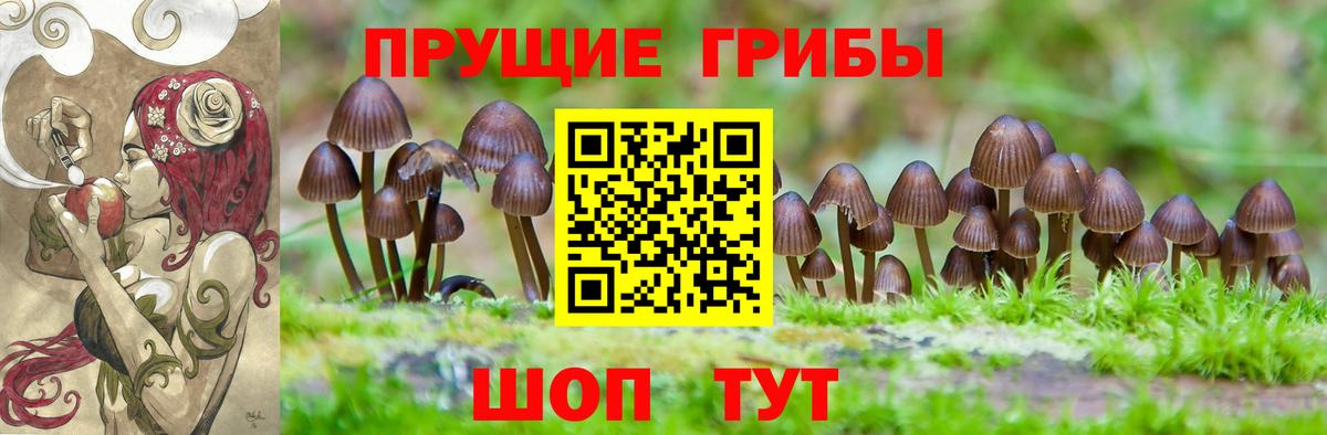 Галлюциногенные грибы GOLDEN TEACHER  Псилоцибиновые грибы ЛСД  Вход с VPN  закладка  Новотроицк 